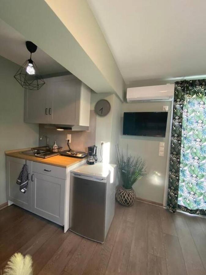 Rooftop Apartment With Garden In Ιωάννινα Εξωτερικό φωτογραφία